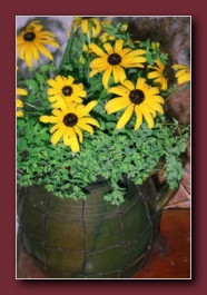 Kliknite za pove�avo slike